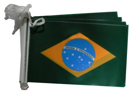 Brazil bunting