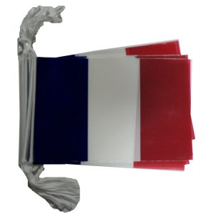 France bunting