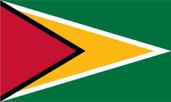 Guyana flag