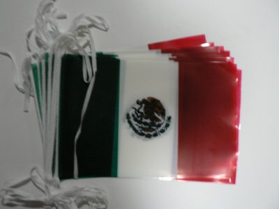 Mexico bunting