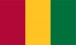 Guinea flag