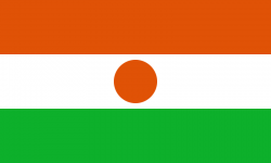 Niger flag