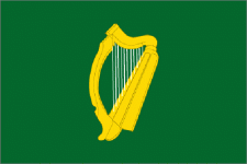 Buy Leinster Flag