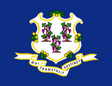 Connecticut state flag - USA