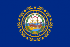 New Hampshire state flag - usa