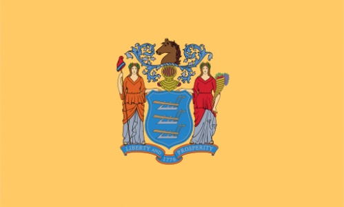 New Jersey state flag - usa