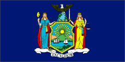 New York state flag - usa