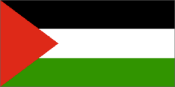 Palestine flag