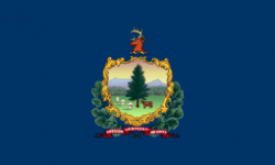 Vermont state flag - usa