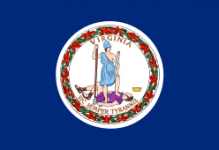 Virginia state flag - usa