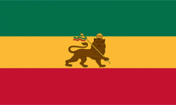 Ethiopian flag with lion